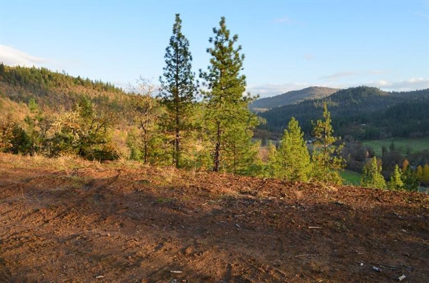 This is an amazing building 4.28 acre building site with well that bail tested at 4 gallons per minute, city sewer, and electricity is available. You have the most wonderful views overlooking rich farm land and Indian Creek. Roughed in driveway and home site in place. No building restricitions as to manufactured homes.