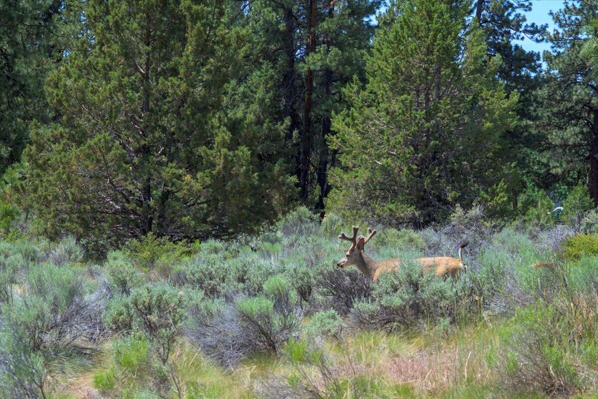 River Bend Estate - Residential