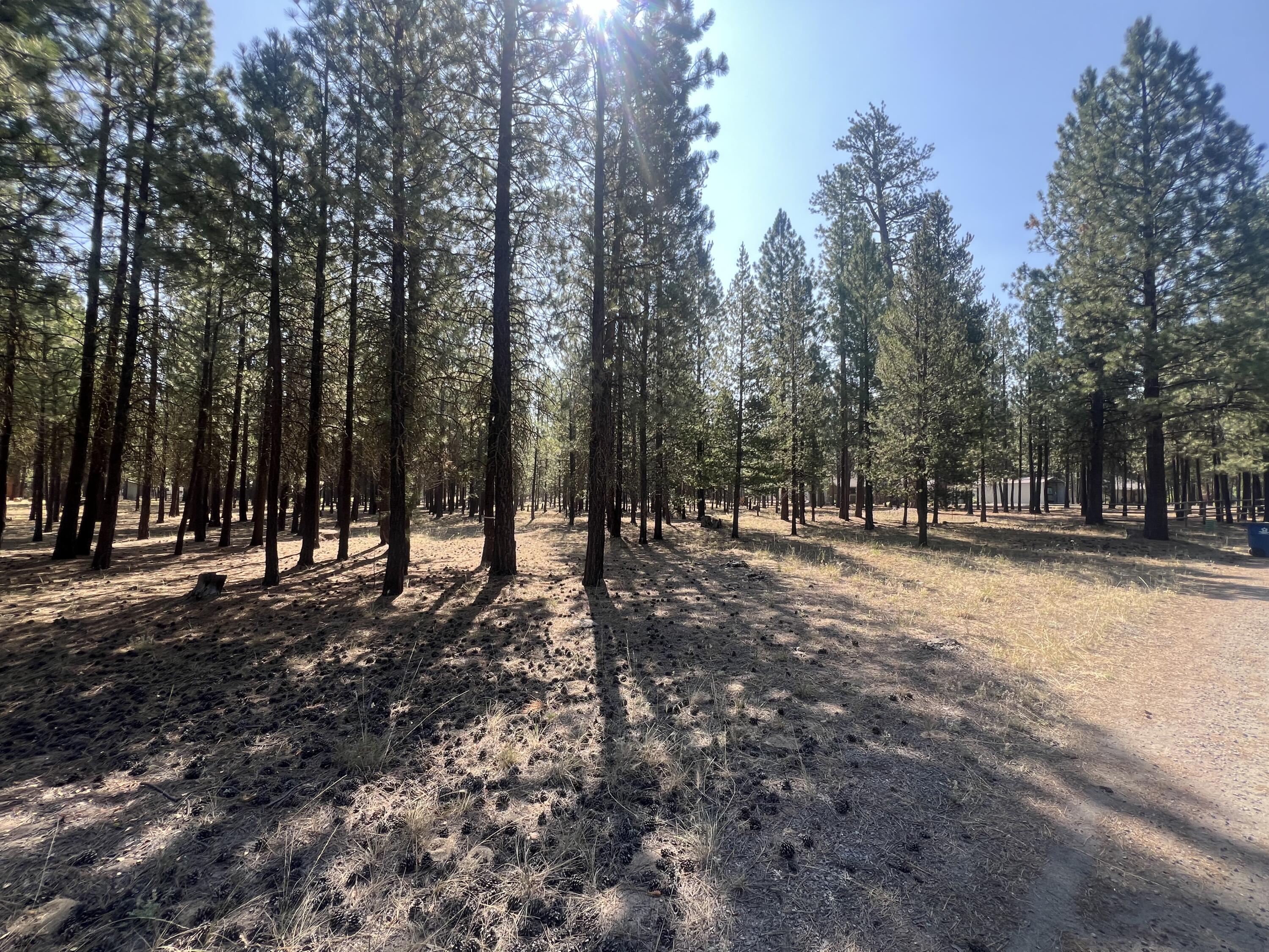 51986 Black Pine Way