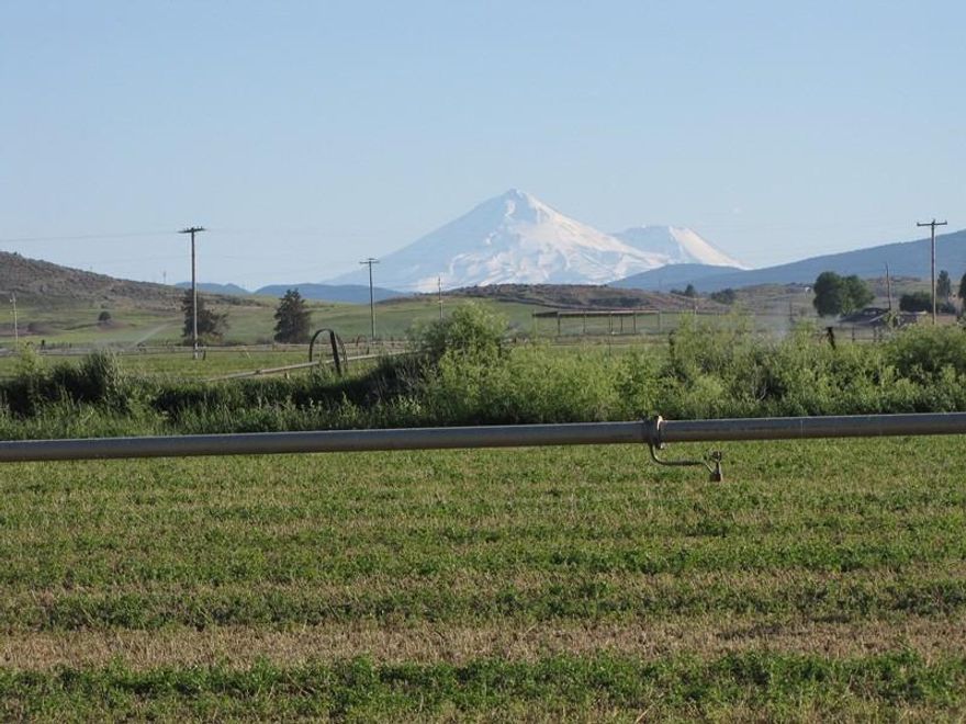 Quality hay ranch of over 244 acres in very good condition, maintained to maximize production of high test alfalfa and grain crops. All A water with multiple pump stations on the river to provide water to two full and one-half pivot plus wheel lines. Fronts on the Lost River for over one mile. Almost new 1200-ton steel hay barn with big level gravel yard for easy access, just off the pavement. Many attractive homesites overlooking the river with spectacular views of Mt. Shasta. Henley schools and a short commute to town make this a great choice for an ideal family farm.