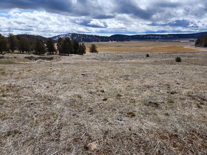 Nice home site facing the ranch lands and open spaces. With views of the Cascades to the east.  Mostly flat area with some trees, a little slopping and lots of sun.