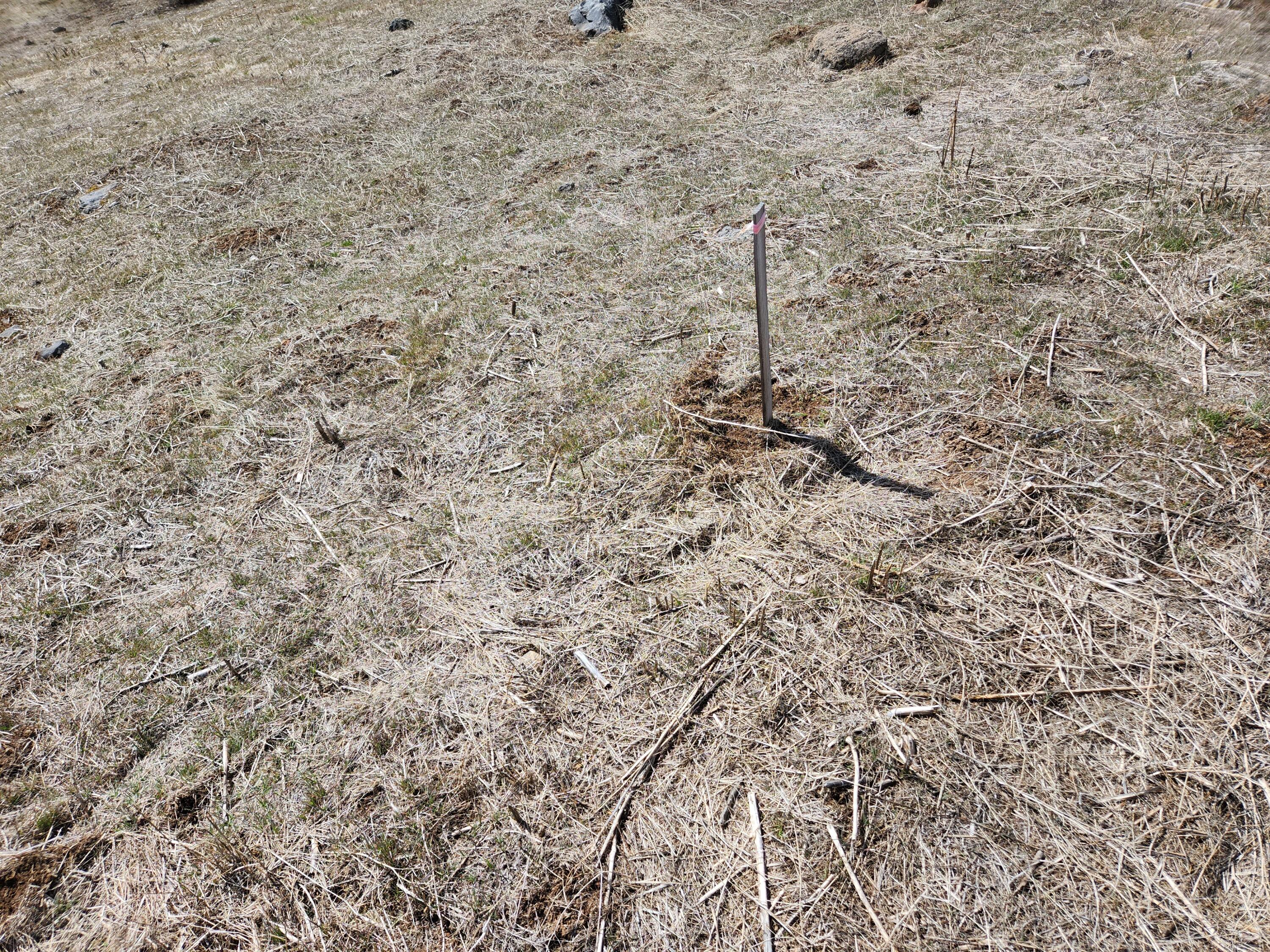 Running YResort - Land