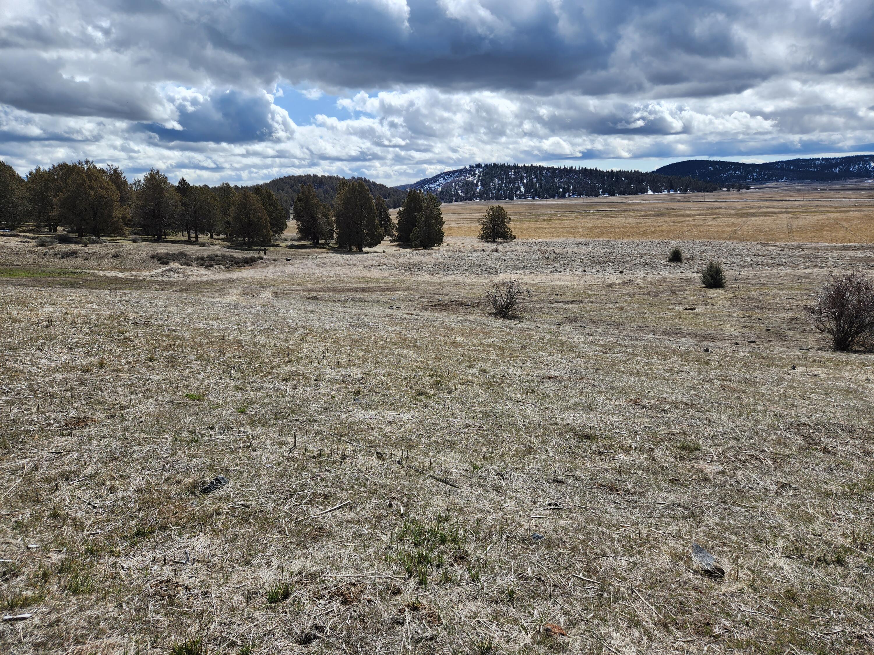 Running YResort - Land