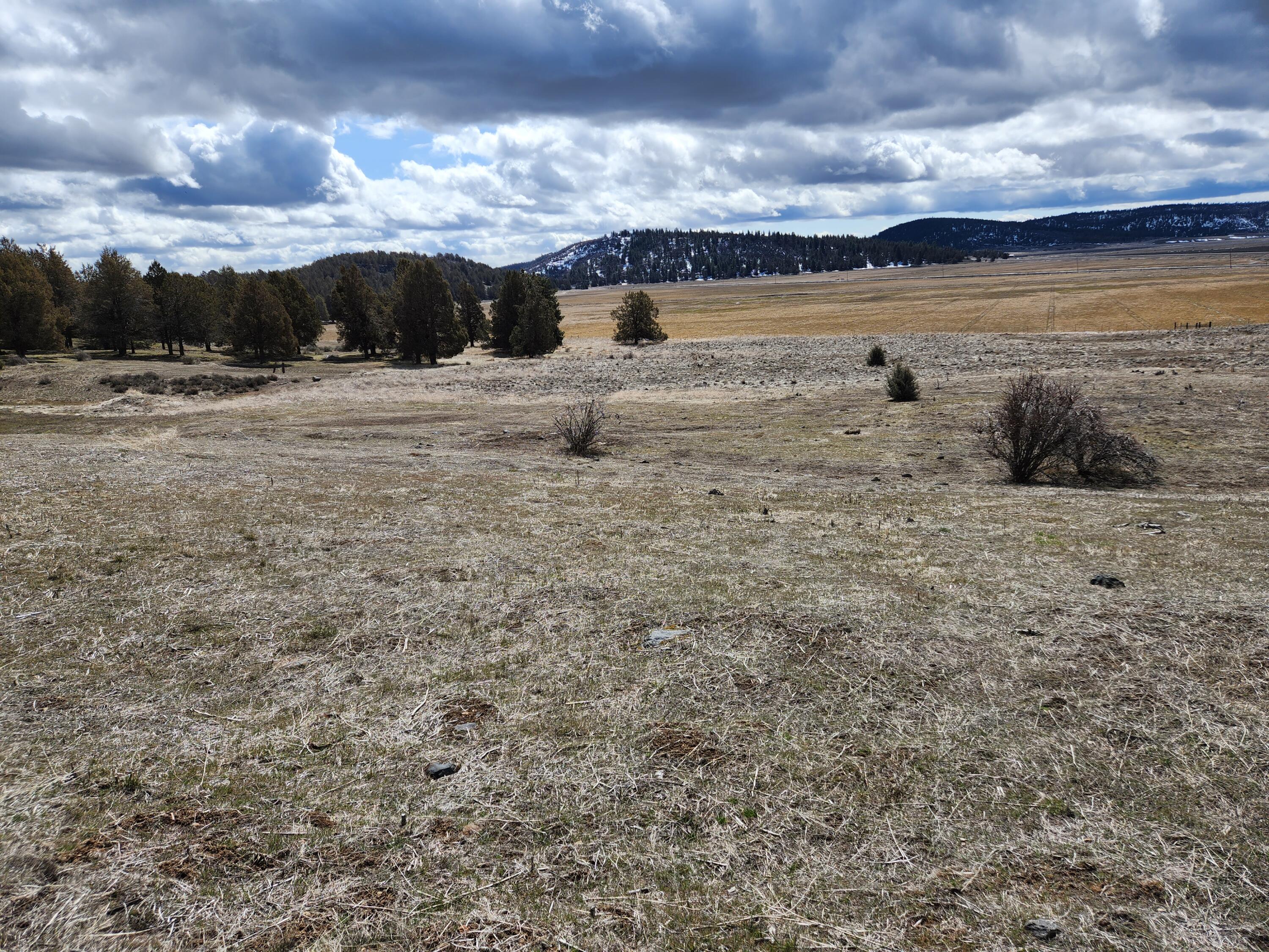 Running YResort - Land