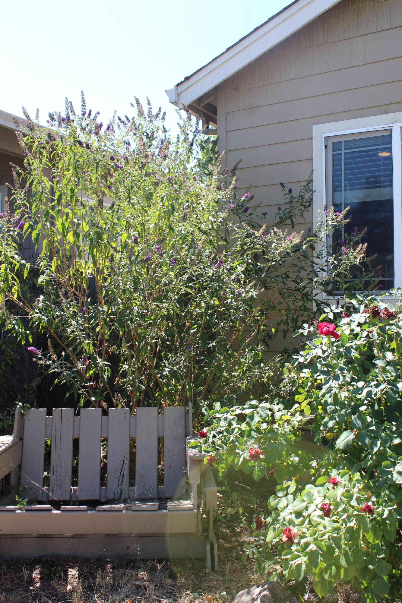 Stonefield Ranch - Residential