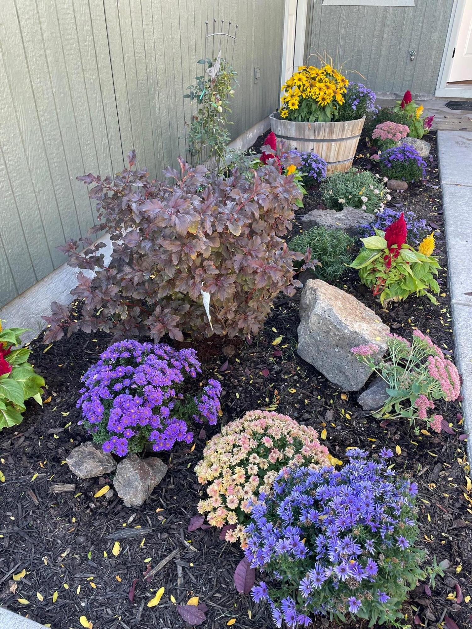 Hayden View - Residential