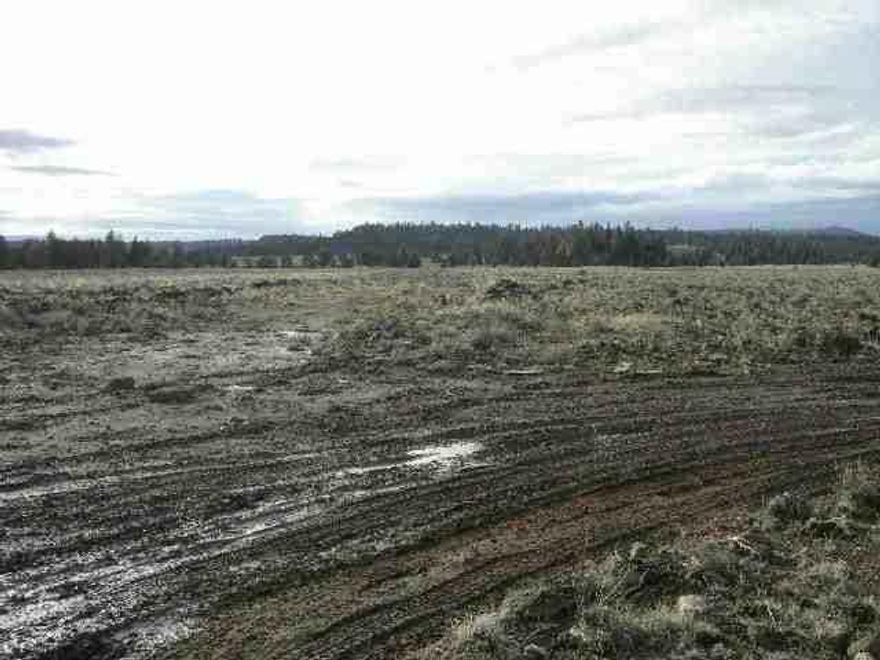 1 Of 7 Lots Available