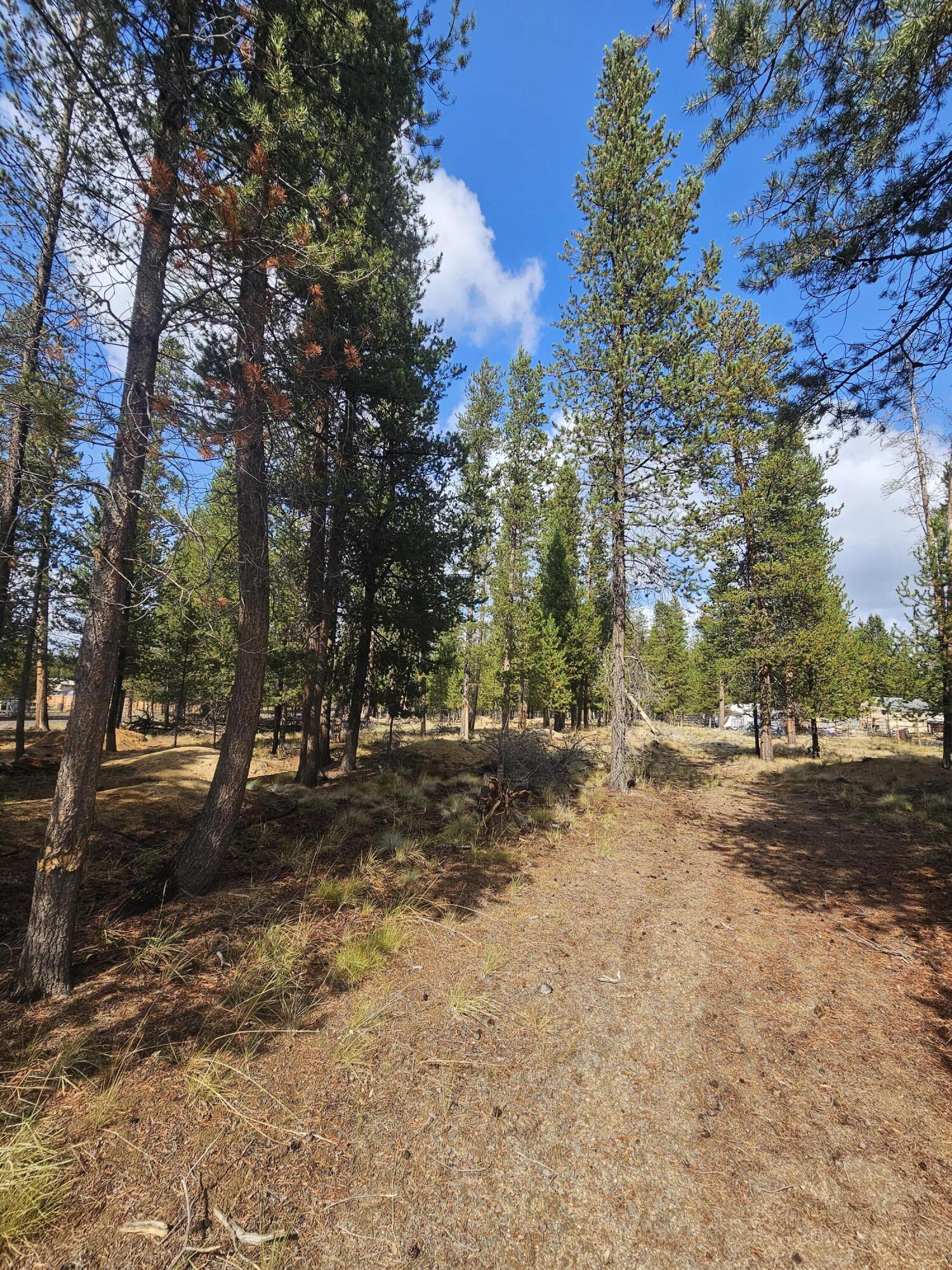 Sun Forest Estates - Land