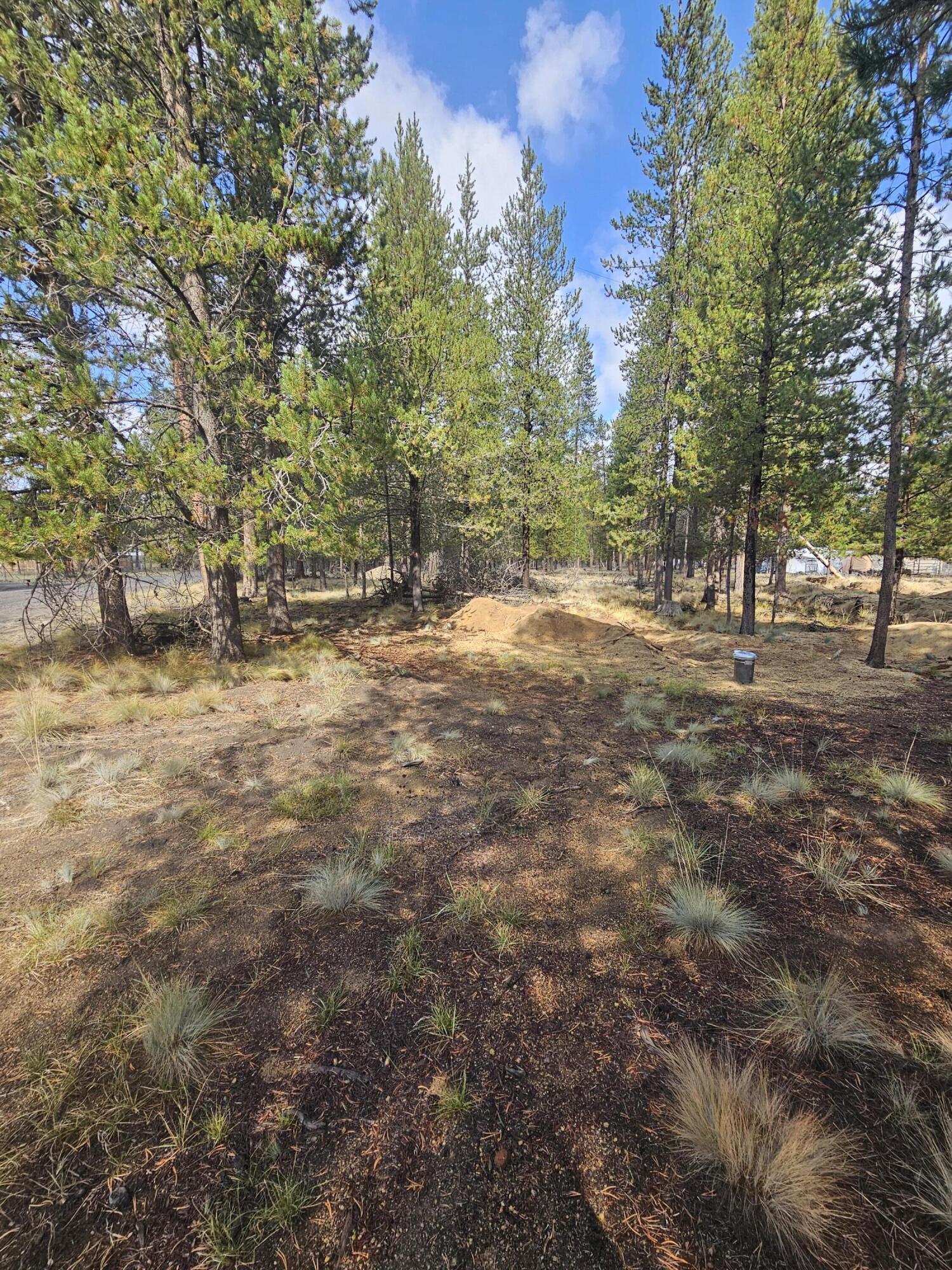 Sun Forest Estates - Land