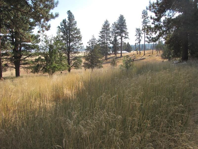 Pinecrest - Residential