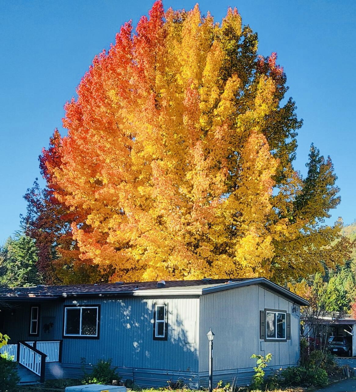 Deer Park Estates Unit No 2 - Residential