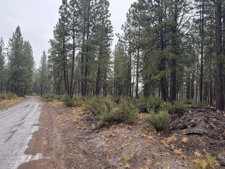 Two lots totaling 25 acres are being sold as one for the purchase price of $39,900.  Level and flat lots with trees. There is legal access to the property. All offers must be submitted by the Buyer's agent via the RES.NET Agent Portal. If your offer is accepted, you agree to be responsible for an offer submission technology fee as follows

$10,000 to $49,999 $125, 

The fee will be collected and disbursed by the settlement agent and disbursed at the closing and settlement of the transaction. To submit your buyer's offer, simply click the link below. If you already have a RES.NET Agent account, you will be prompted to log in. If not, you will be prompted to create an account. To begin, click or paste this link into your web browser: agent.res.net/Offers.aspx?-1762605