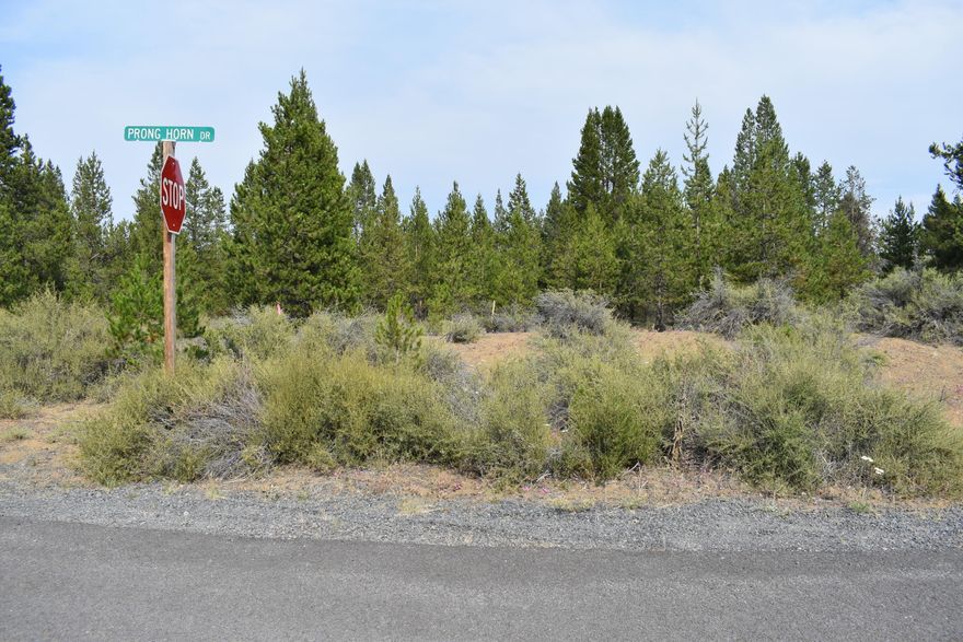 Looking for a wonderful future homesite? Looking for a lot near Sunriver, but not in Sunriver? This could be the one! 1.17 + or - acres just outside of Sunriver with a Bend address. Great location on a paved road, backs to the Deschutes National Forest too! Come take a look and imagine yourself here. Just down the road from the Big Deschutes River, minutes to Sunriver and Bend. Consider this lot, as there is not many like this one! 40 Minutes to Mt Bachelor for World Class Skiing!
