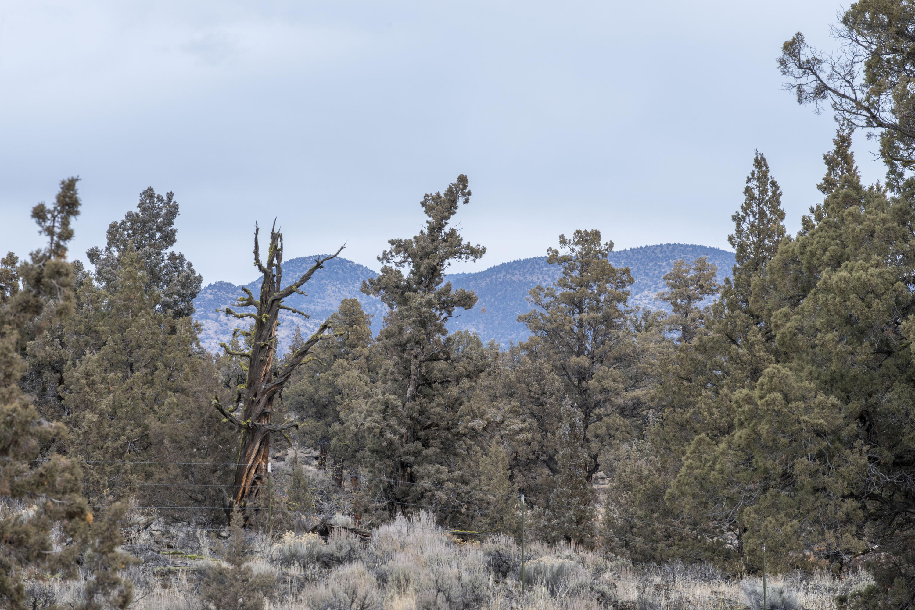 Bend Cascade View - Land