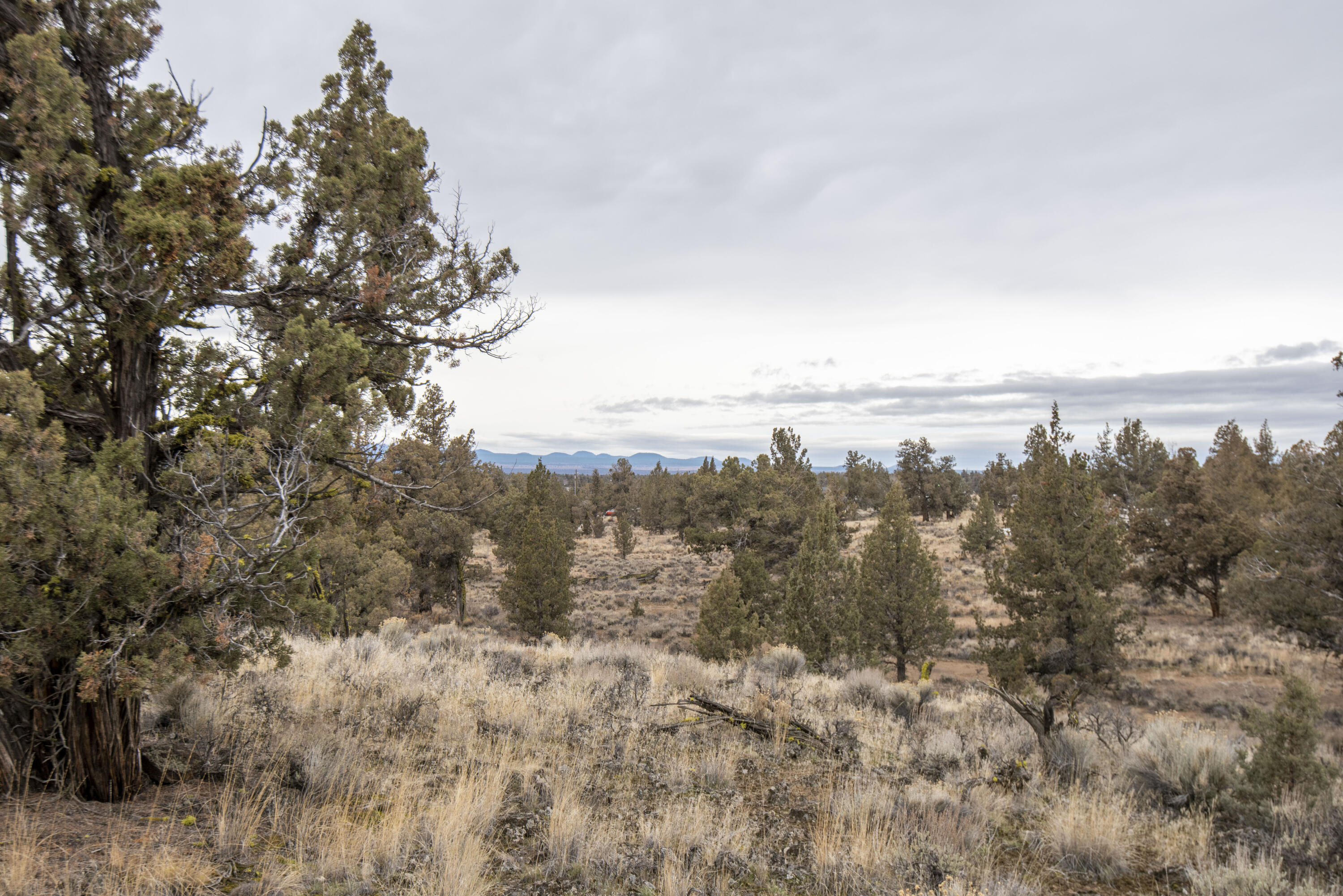 Bend Cascade View - Land
