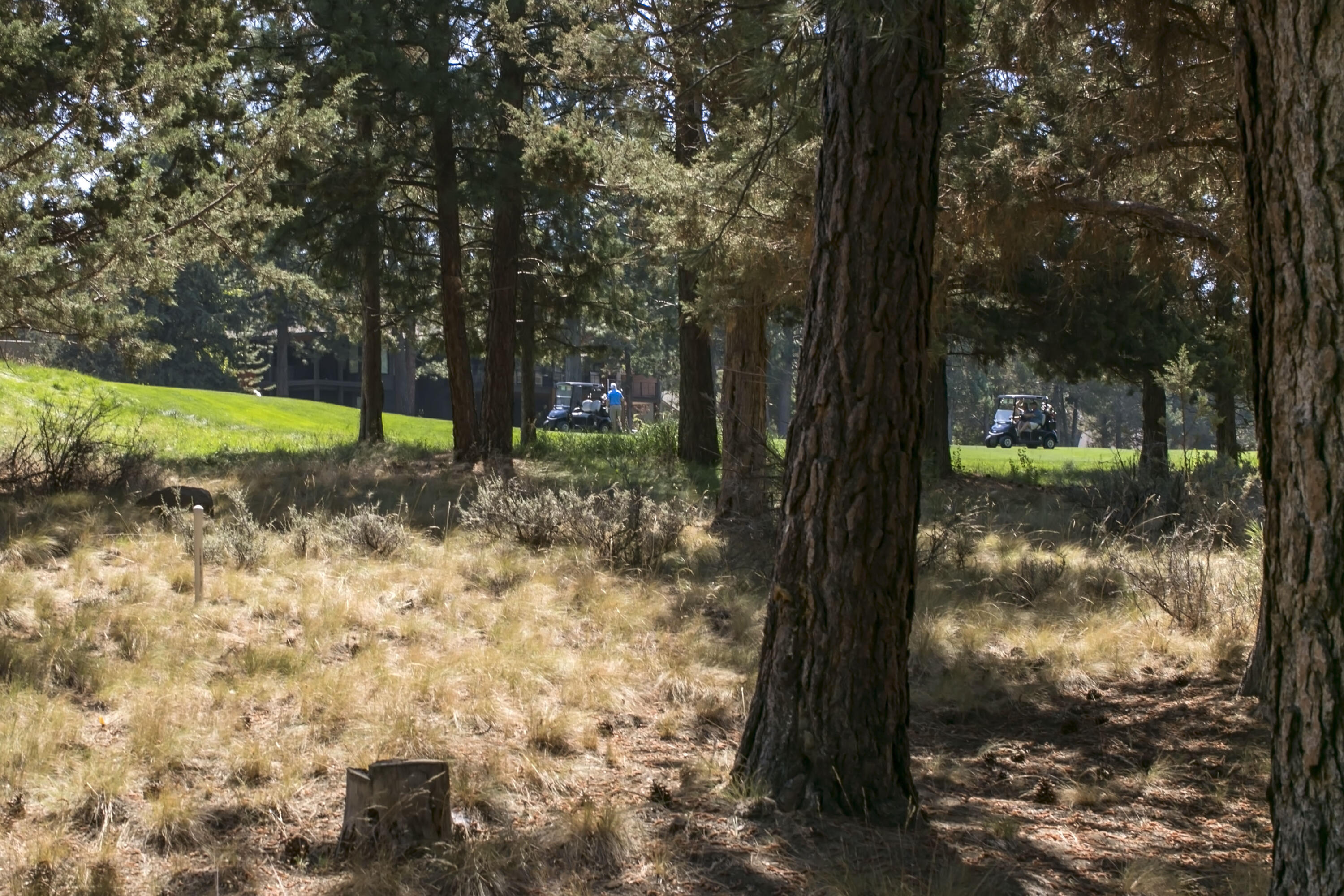 Awbrey Glen - Residential