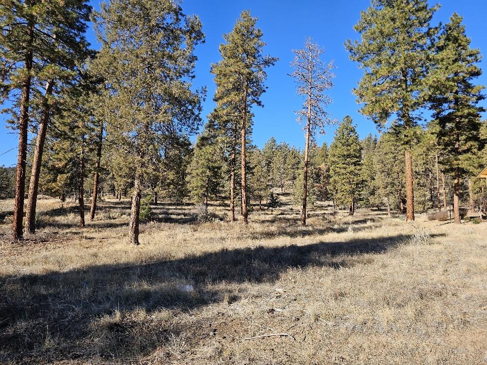 Ridgewater Subdivision -Phase 1 - Land