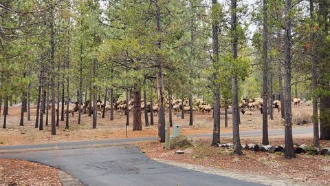 Tiny photo for 17839 Lava Butte Lane #6, Sunriver, OR 97707 (MLS # 220215425)
