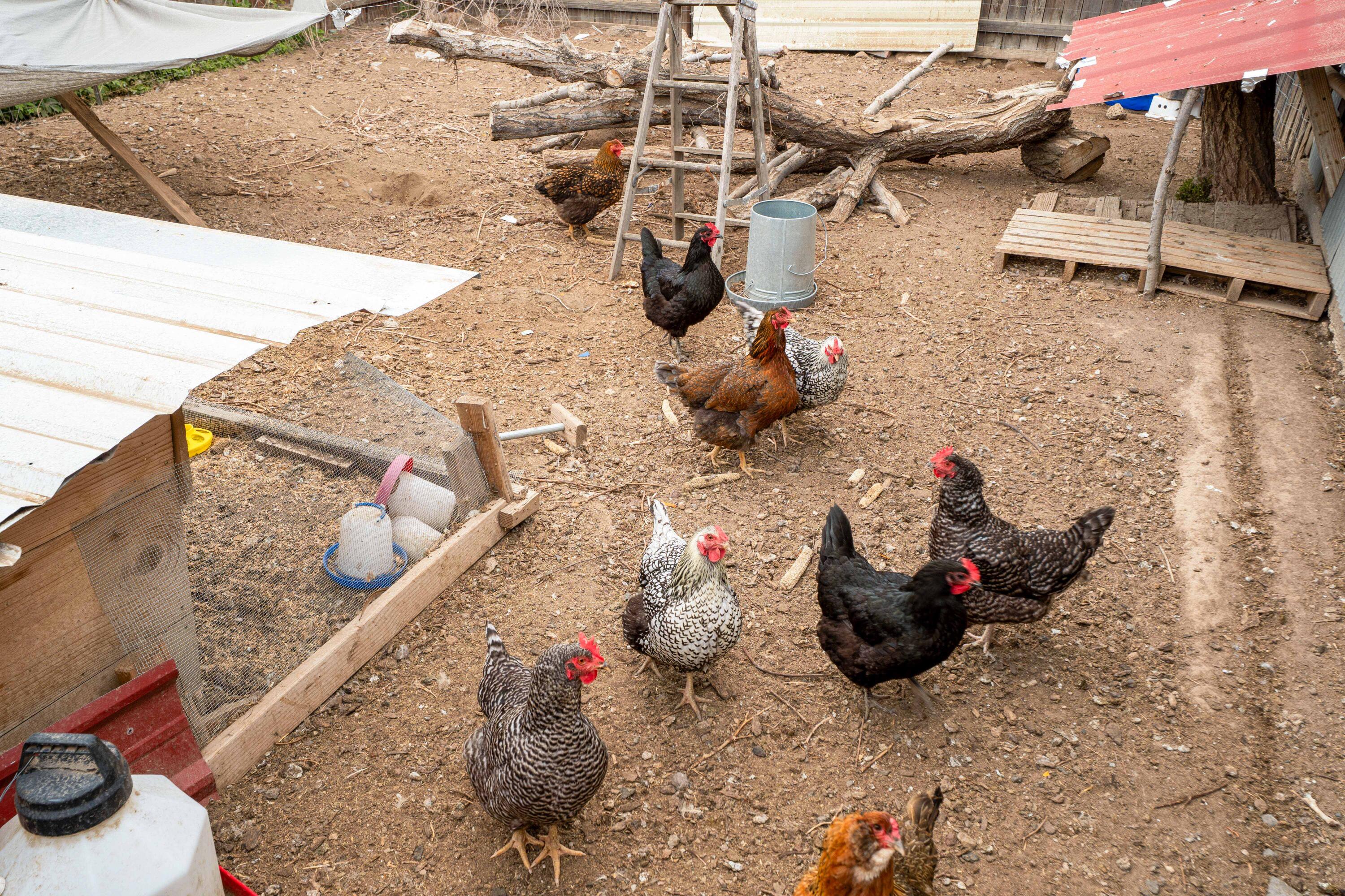 Hillman - Residential