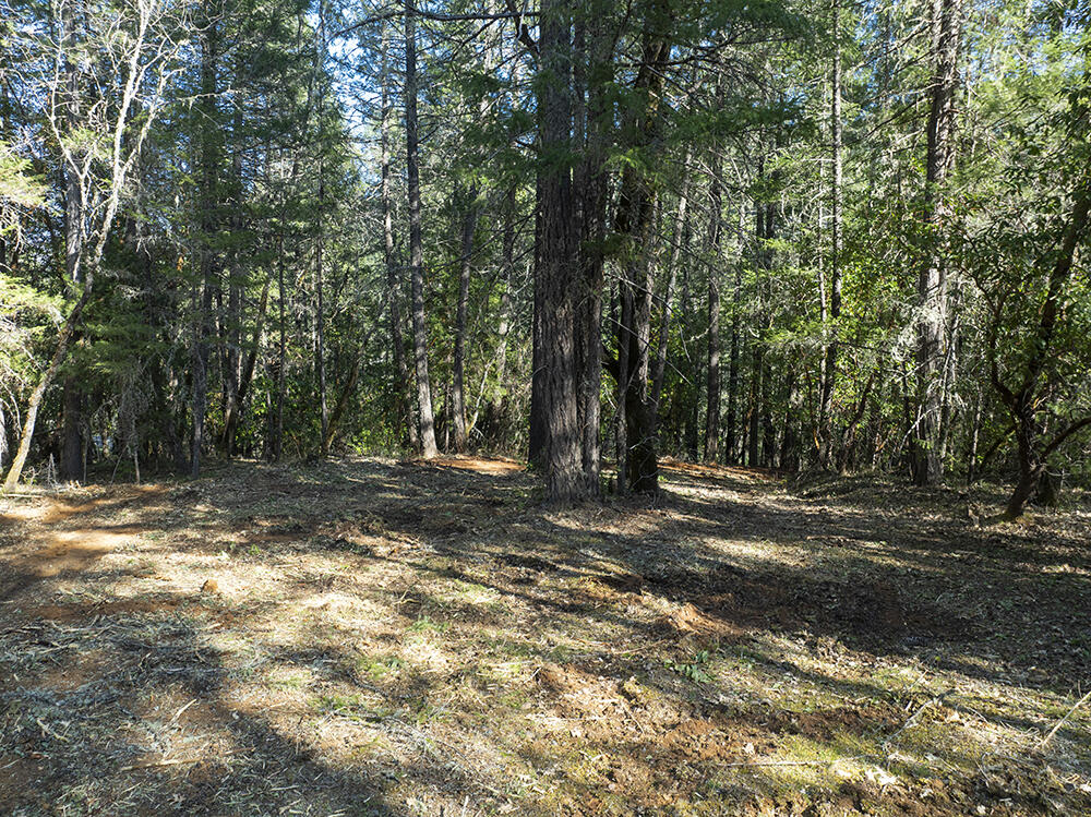12060 Redwood Highway