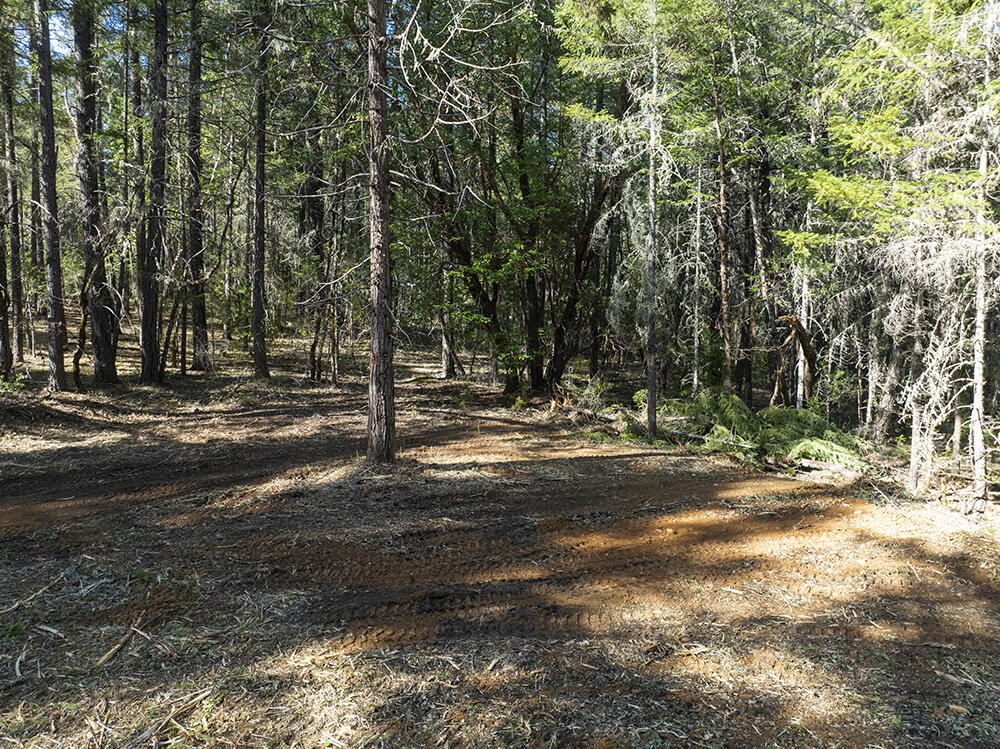 12060 Redwood Highway