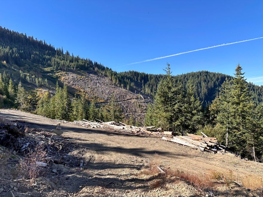 Ultimate Private Retreat! 160 secluded acres surrounded by thousands of acres of National Forest and state land—your own private escape miles behind a locked BLM gate. Experience total privacy with roads and trails throughout the property, connecting to public lands for endless exploration and outdoor adventures. Historically a timber holding, the land has been cleared and will require replanting per ODF guidelines. Ideal for an investment, hunting retreat, or off-grid sanctuary. Buyer to perform due diligence for intended uses.