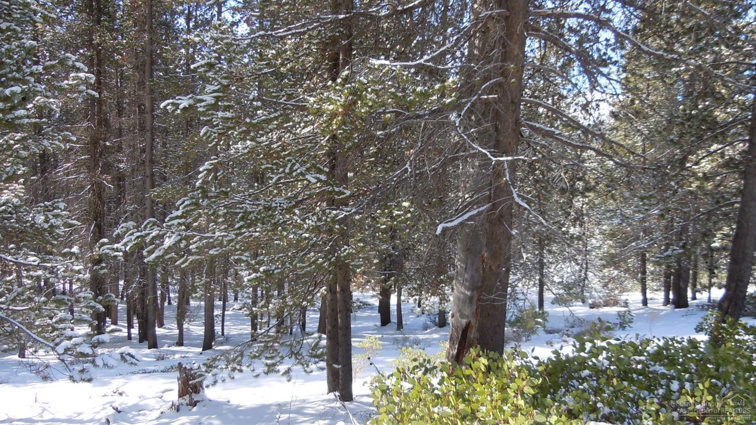 Diamond Peaks - Land