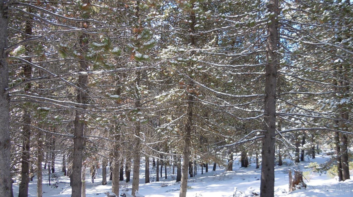 Diamond Peaks - Land