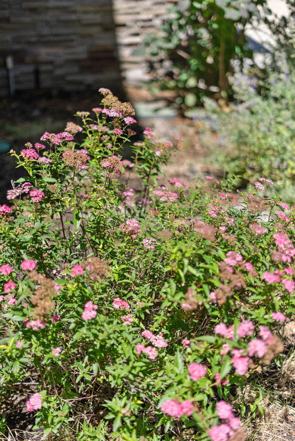 Marken Heights - Residential