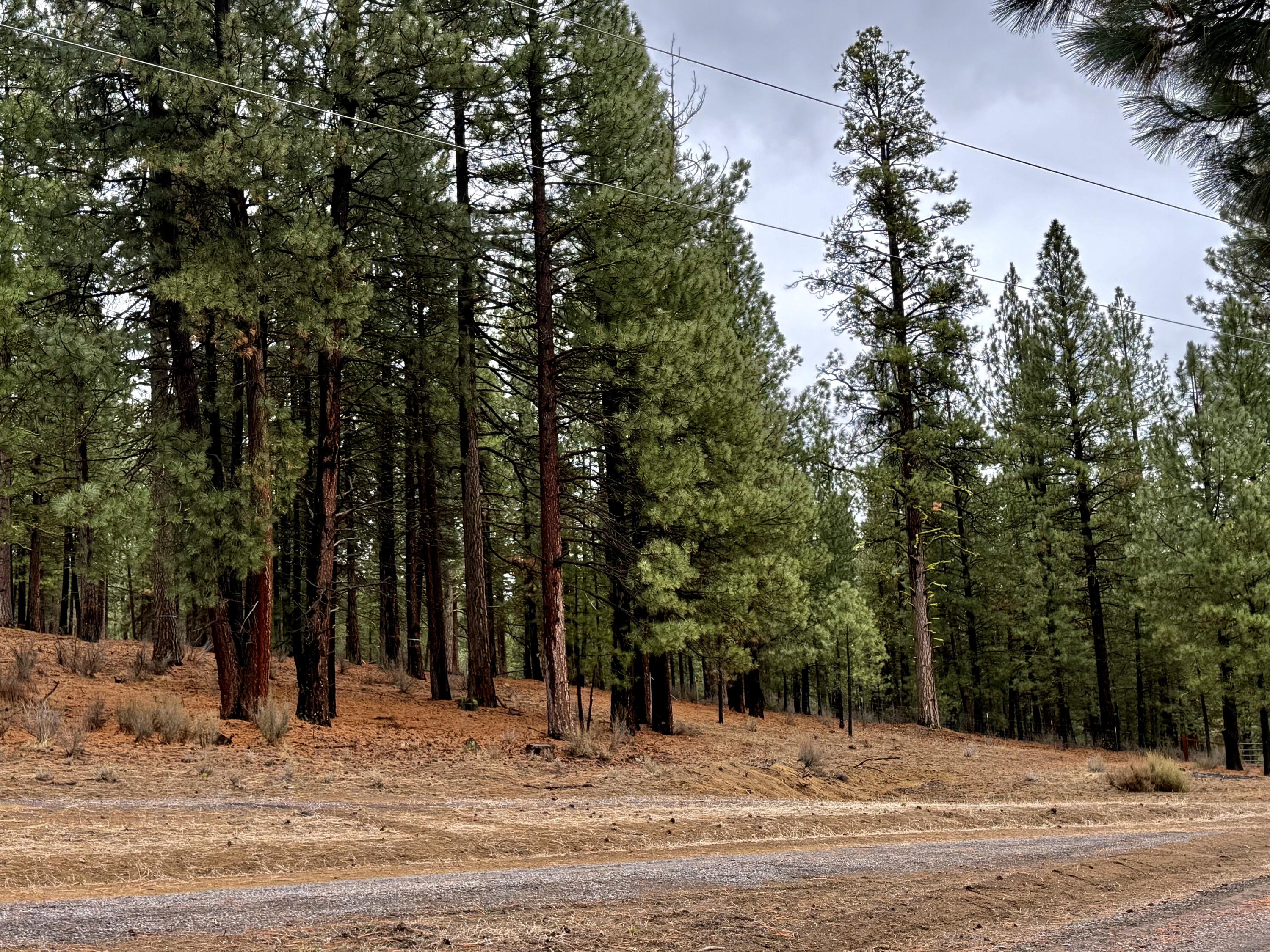 Chiloquin Acres - Residential