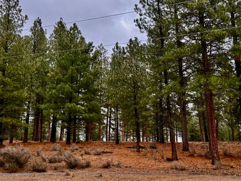 Tiny photo for 38965 Chiloquin Ridge Road, Chiloquin, OR 97624 (MLS # 220213333)