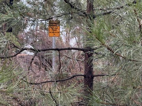 Tiny photo for 38965 Chiloquin Ridge Road, Chiloquin, OR 97624 (MLS # 220213333)