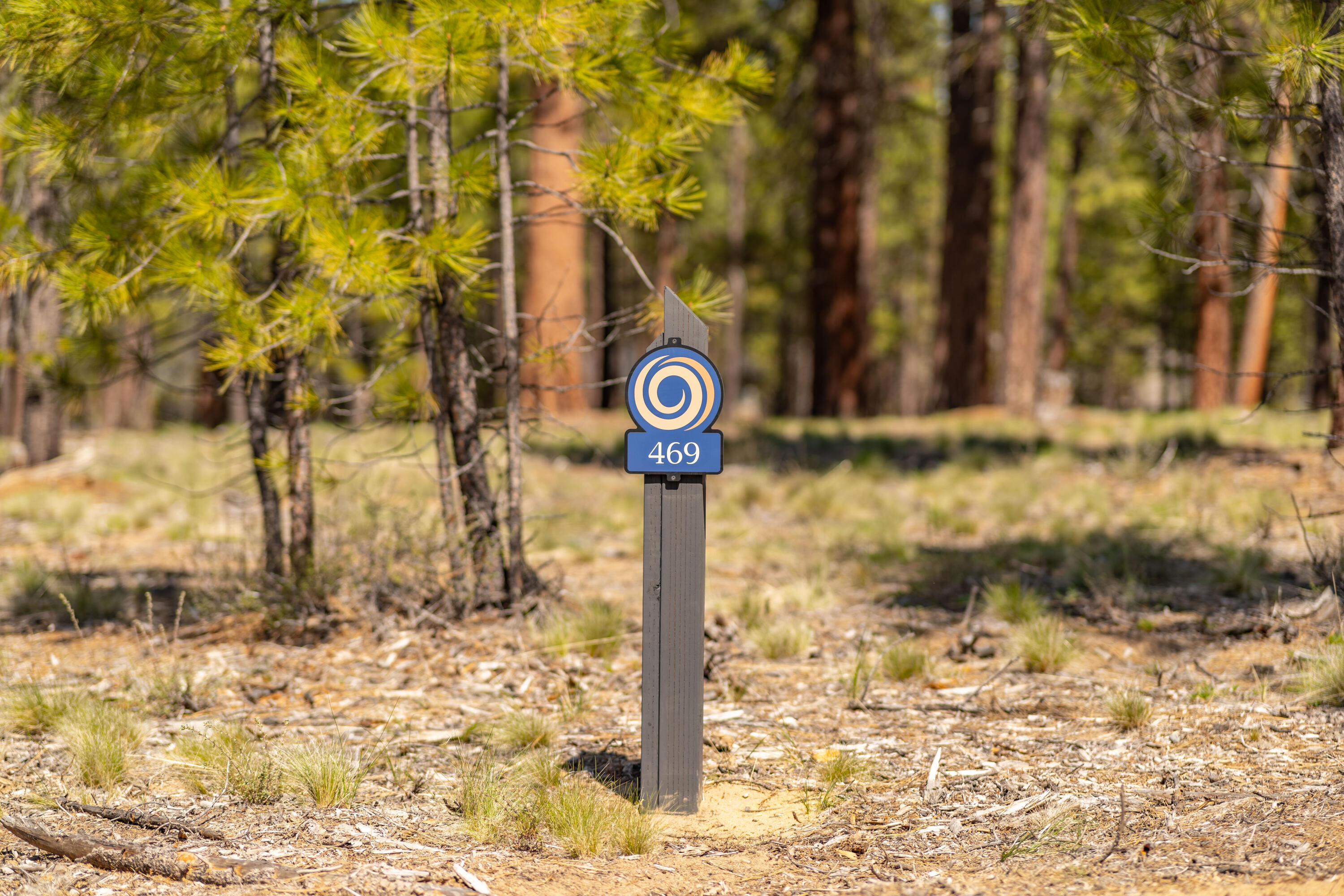 Caldera Springs - Land