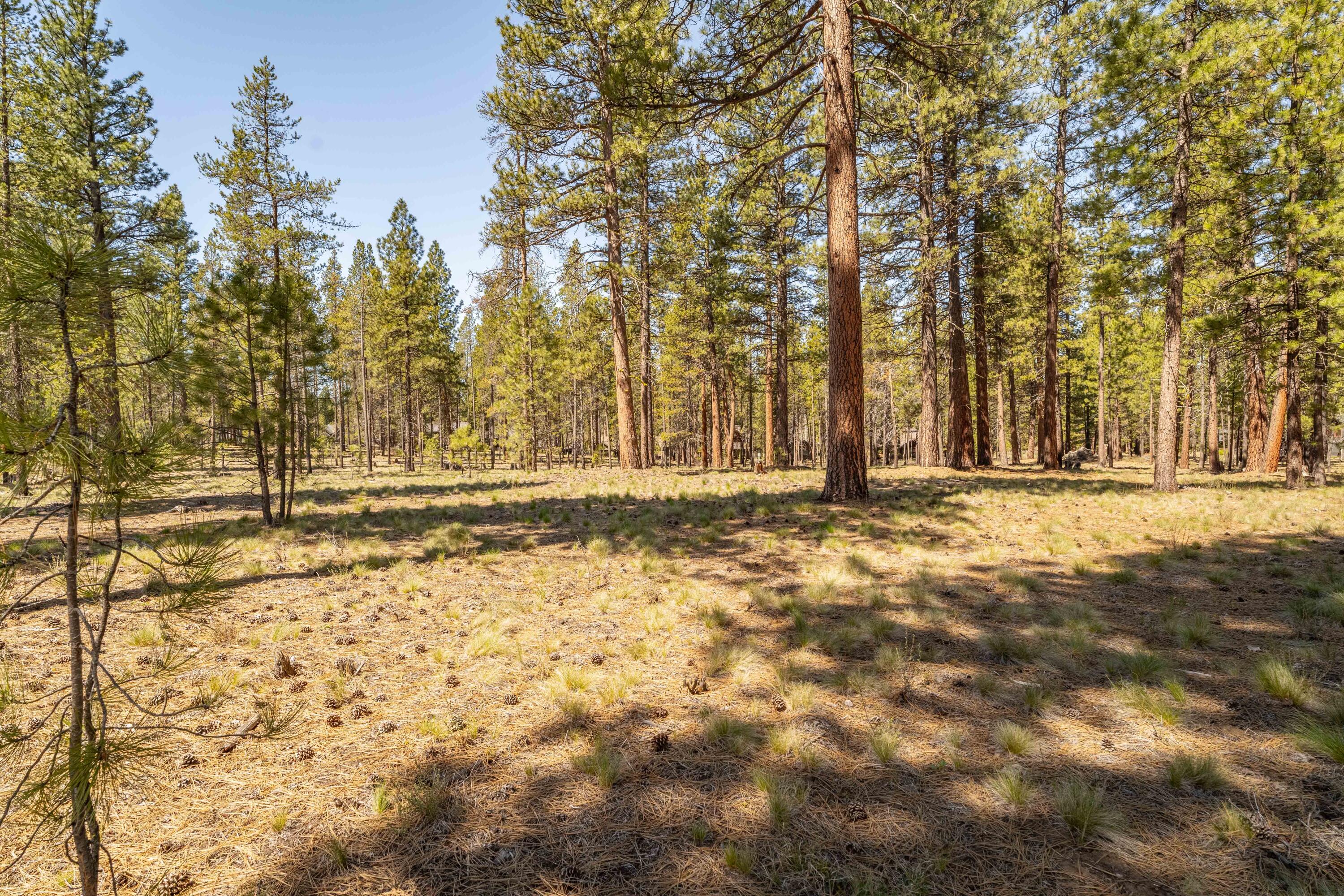Caldera Springs - Land