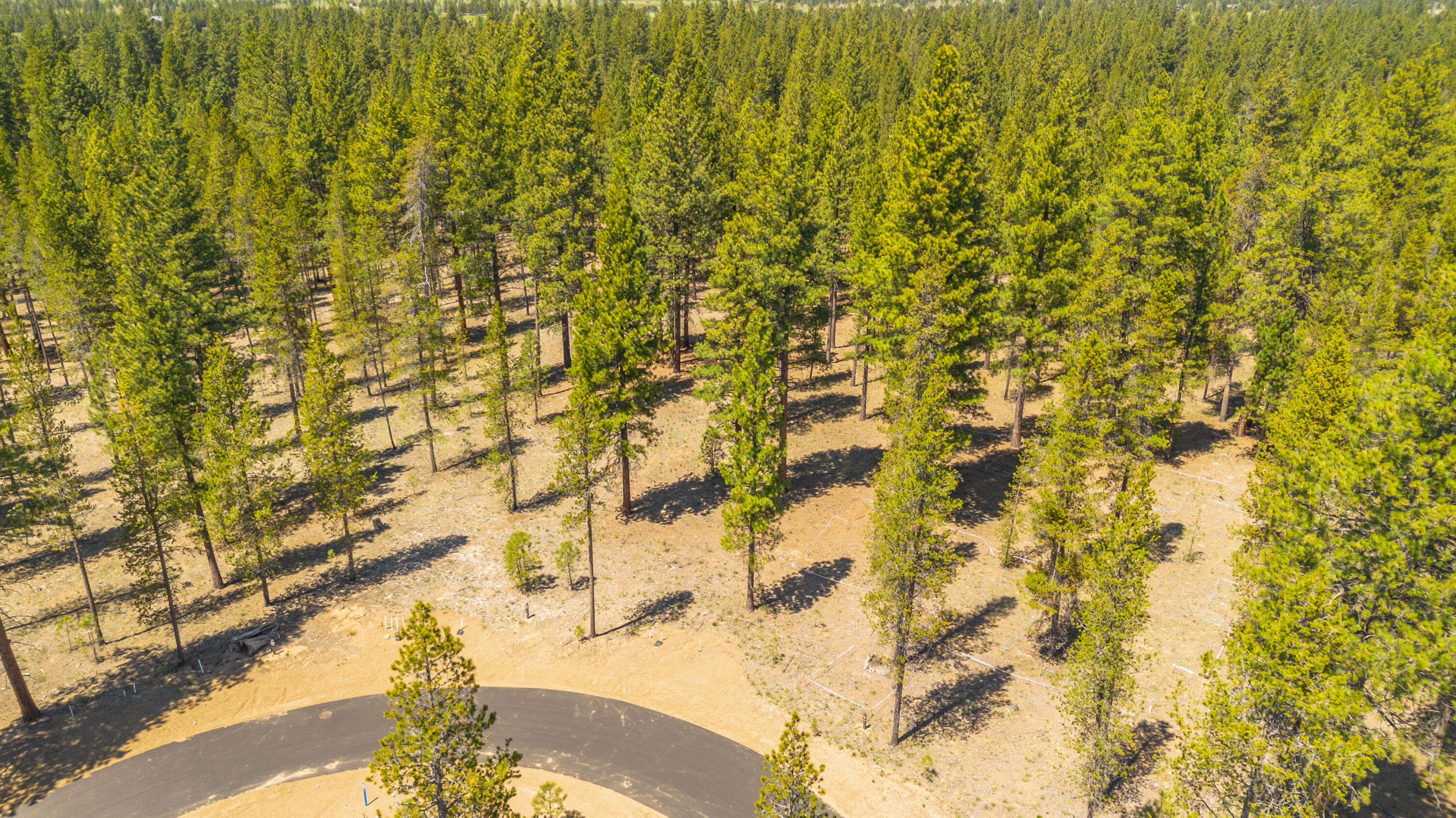 Caldera Springs - Land