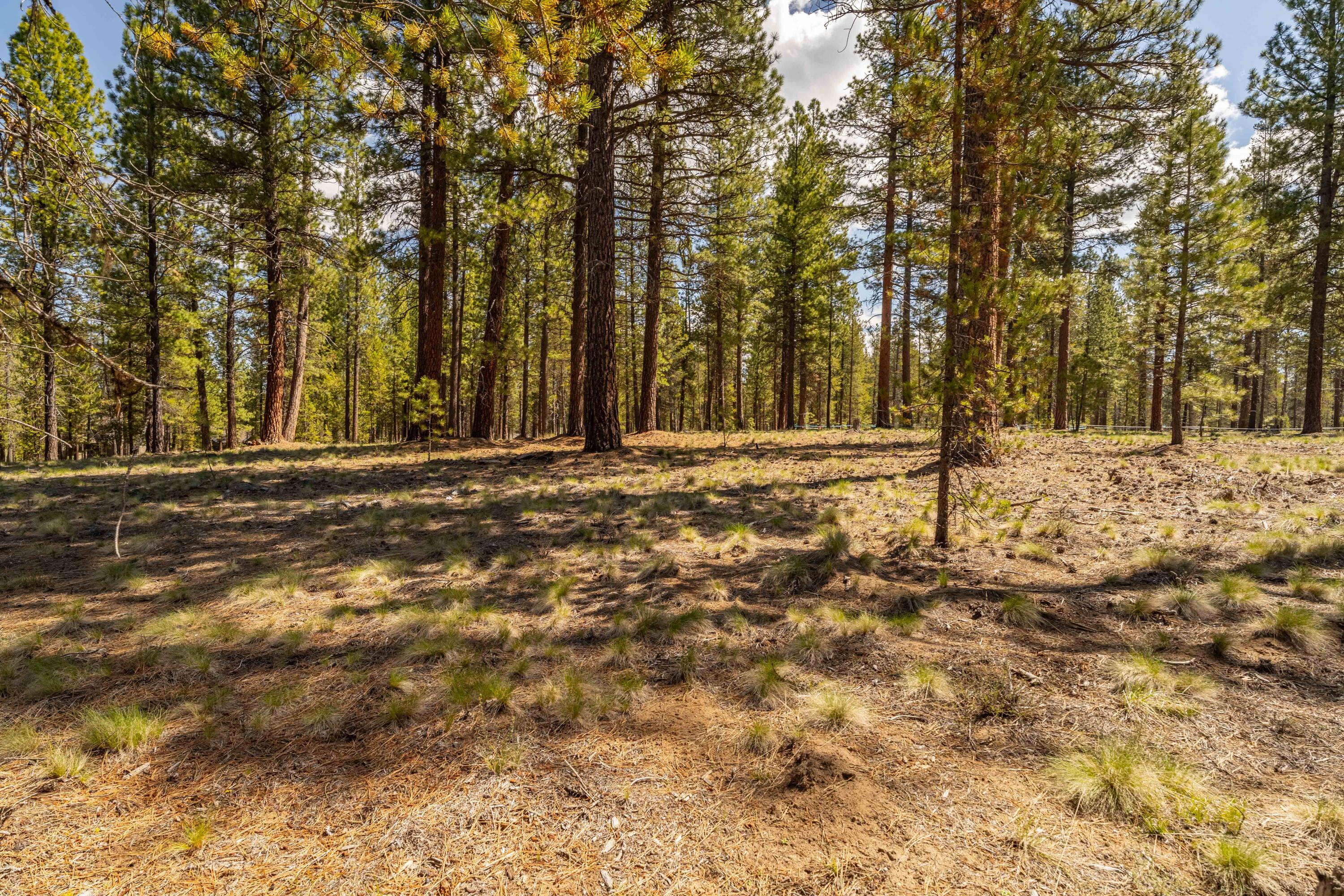 Caldera Springs - Land