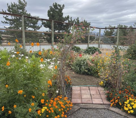 Tiny photo for 11301 SW Robinson Lane, Powell Butte, OR 97753 (MLS # 220217124)