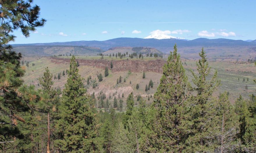 Rare 8+ acres rim property overlooking Green Ridge w/ Mt. Jeff & Hood views within 1/4 mile of paved airstrip identifier OG00. Driveway, outhouse, cistern, storage bldg. and trailer included. So use immediately for glamping or build your dream cabin. Off-the-grid in Three Rivers w/ private access to Lake Billy Chinook and all the amenities that come with the LOA.