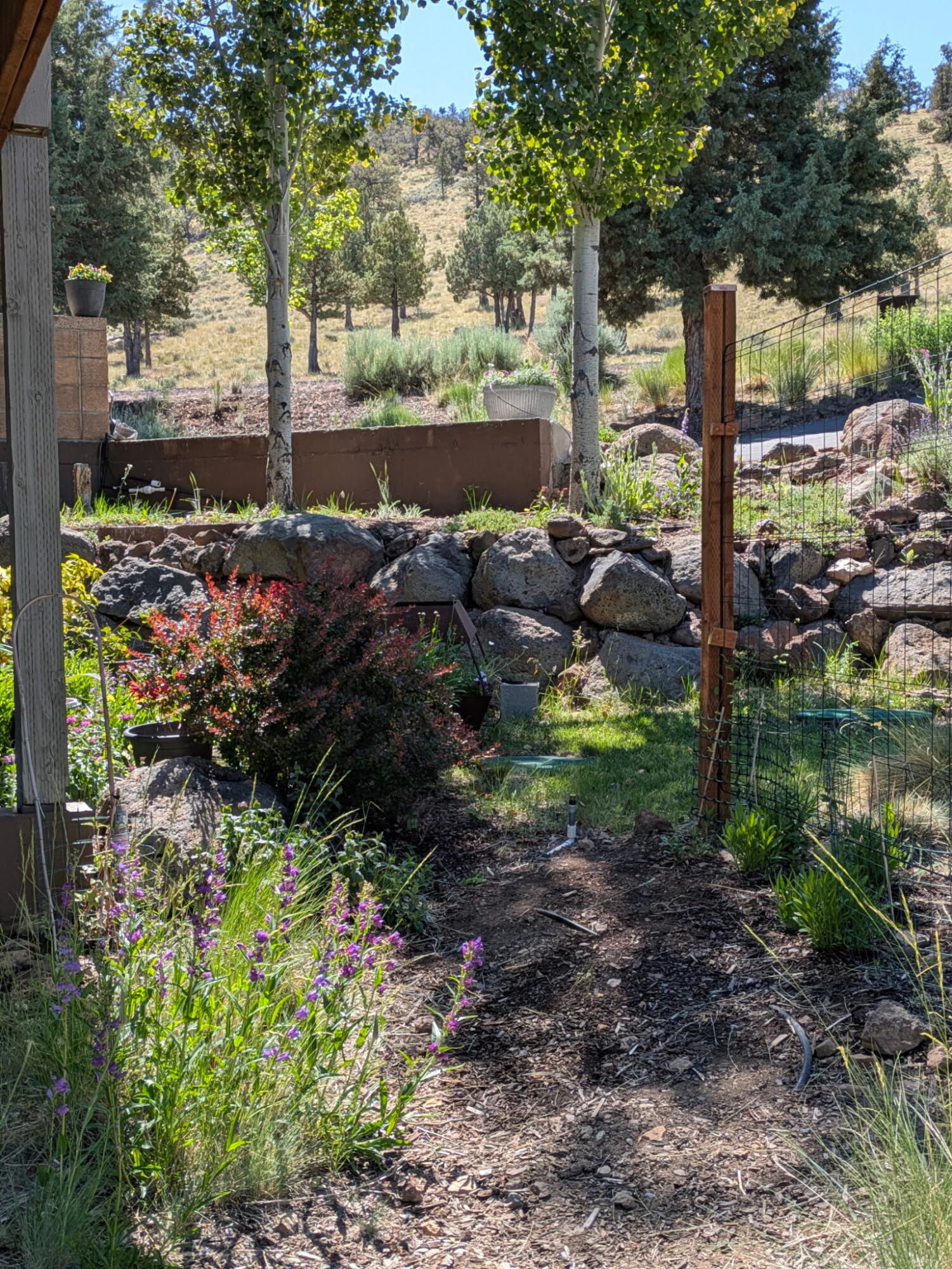 893 Highland View Loop