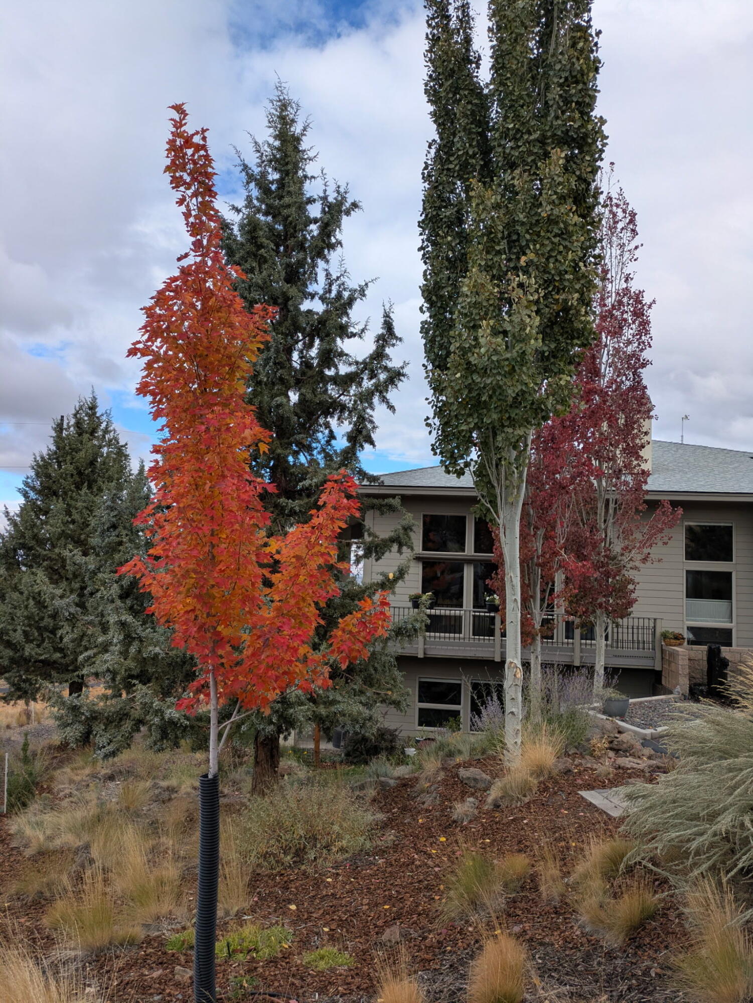 893 Highland View Loop