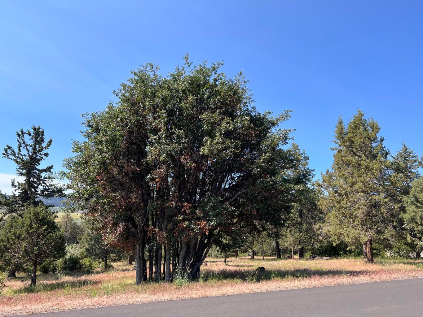 Running YResort - Land