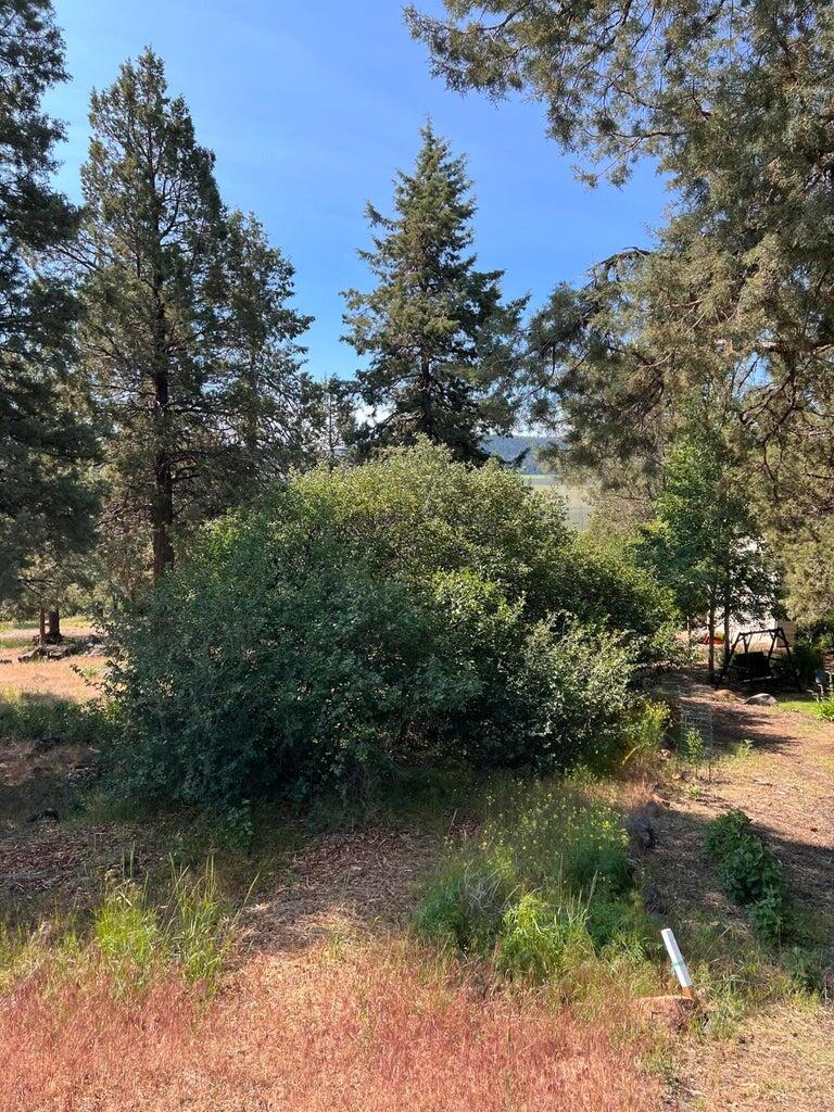 Running YResort - Land