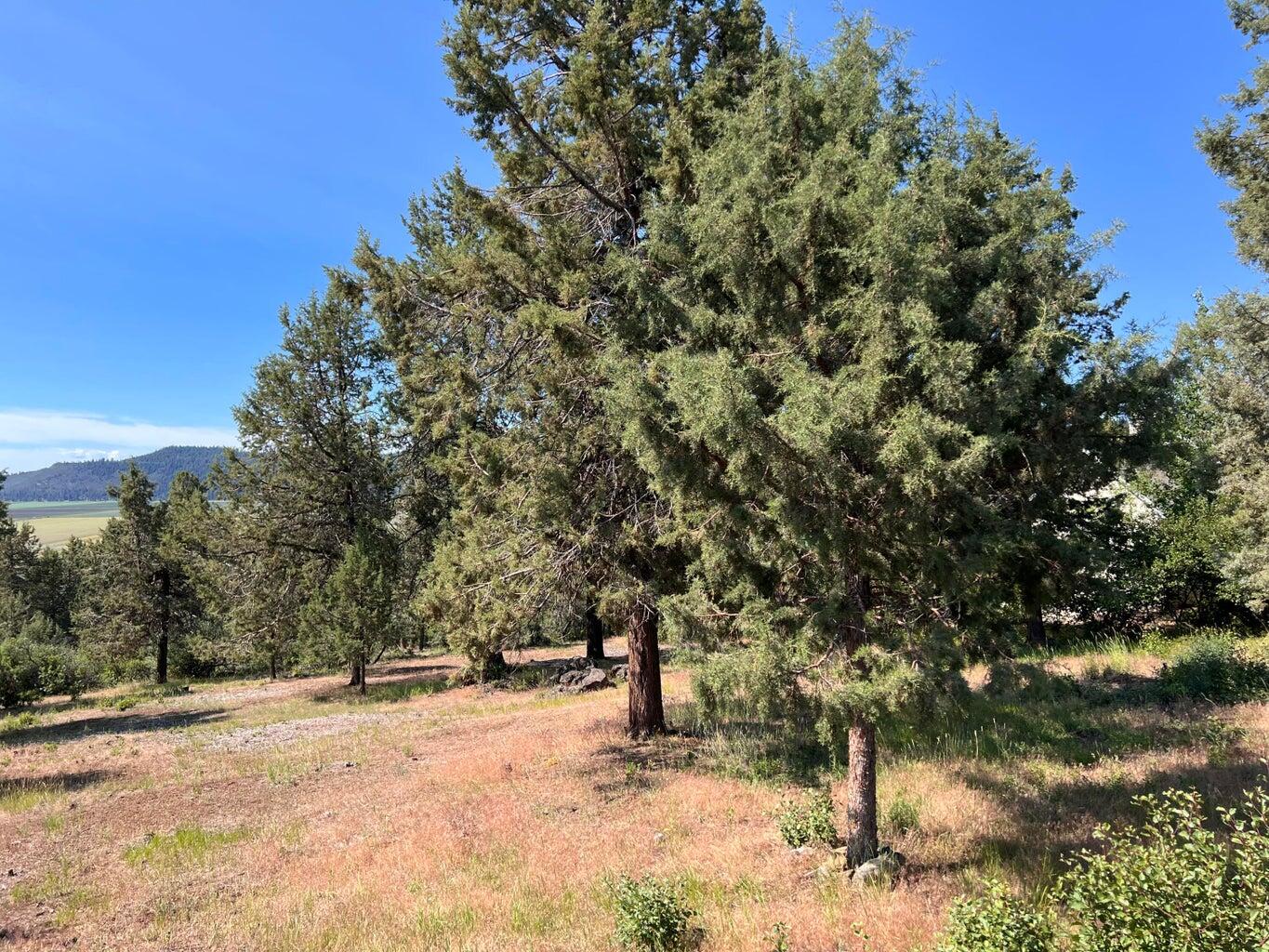 Running YResort - Land