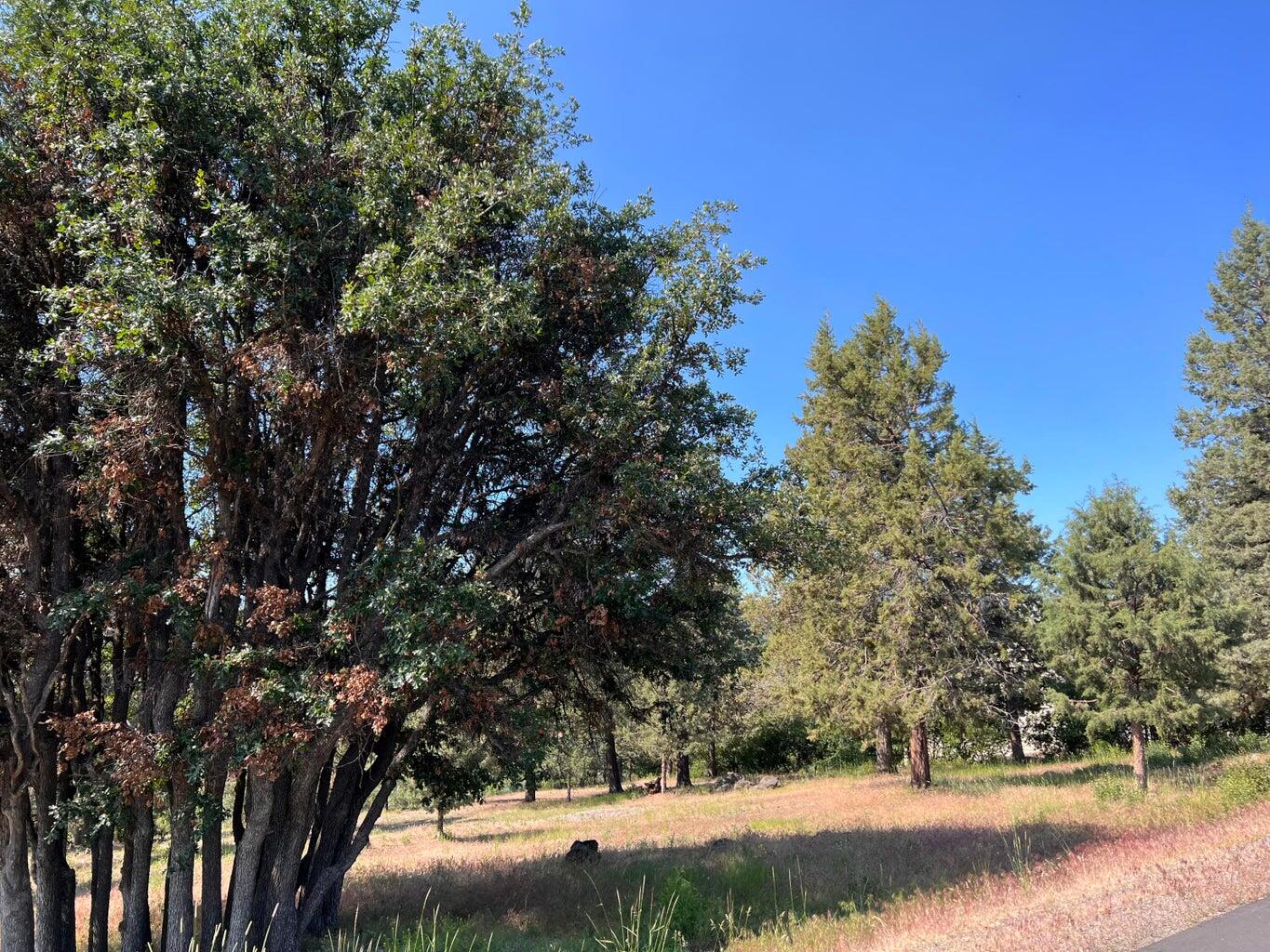 Running YResort - Land