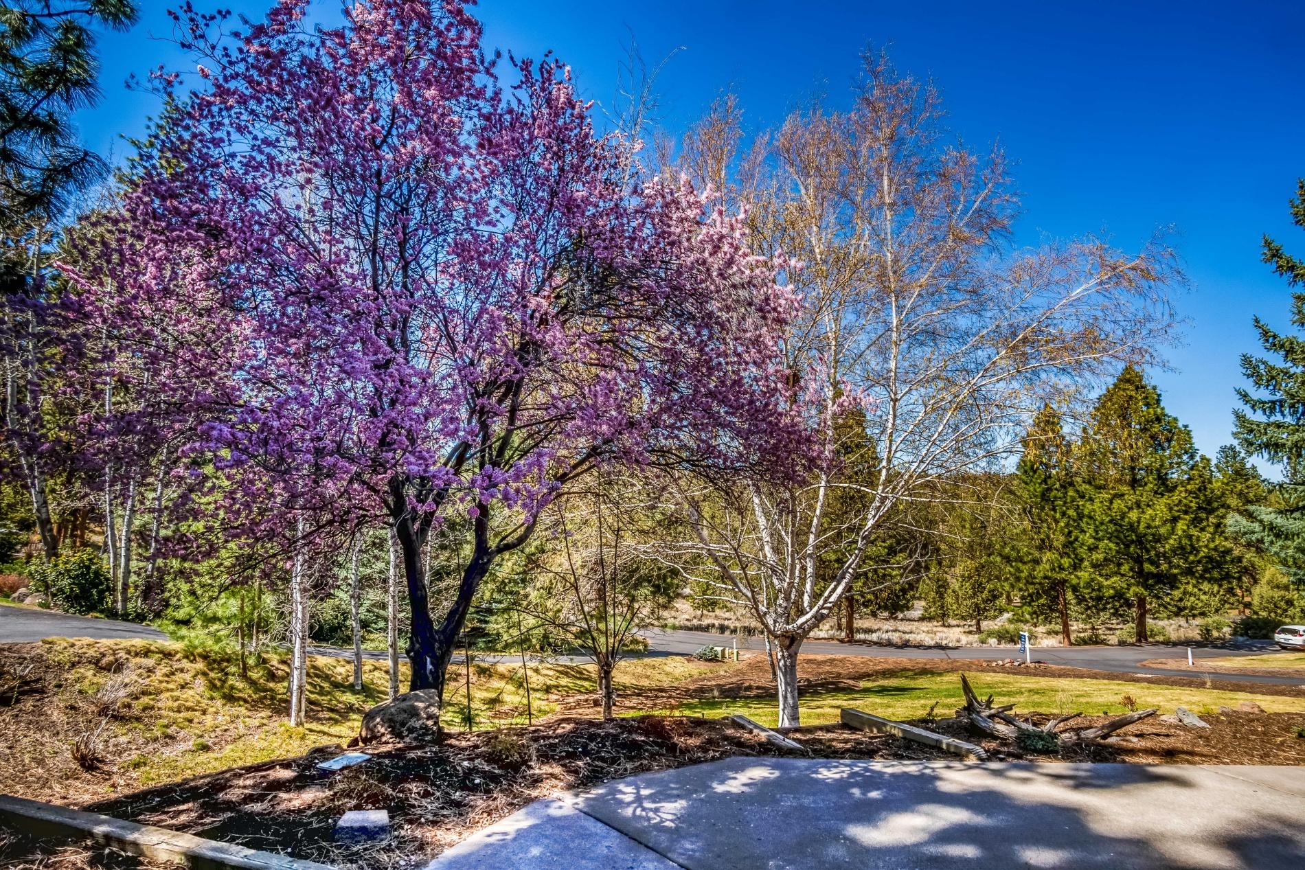 Awbrey Meadows - Residential