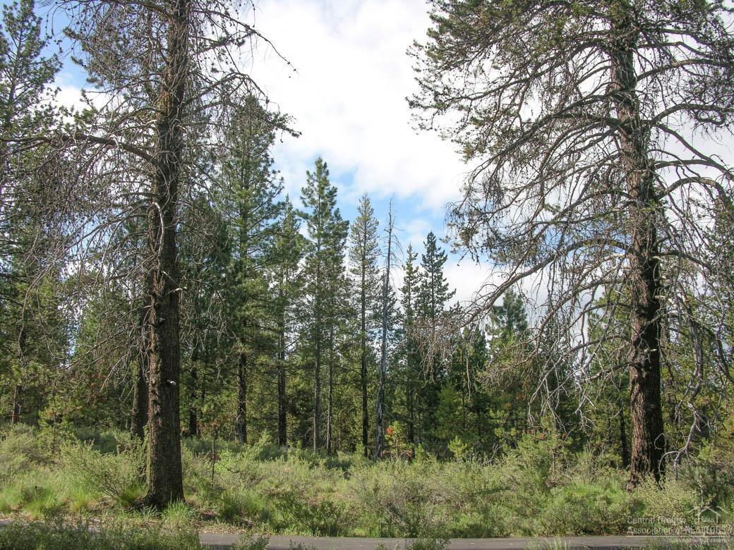 River Meadows - Residential