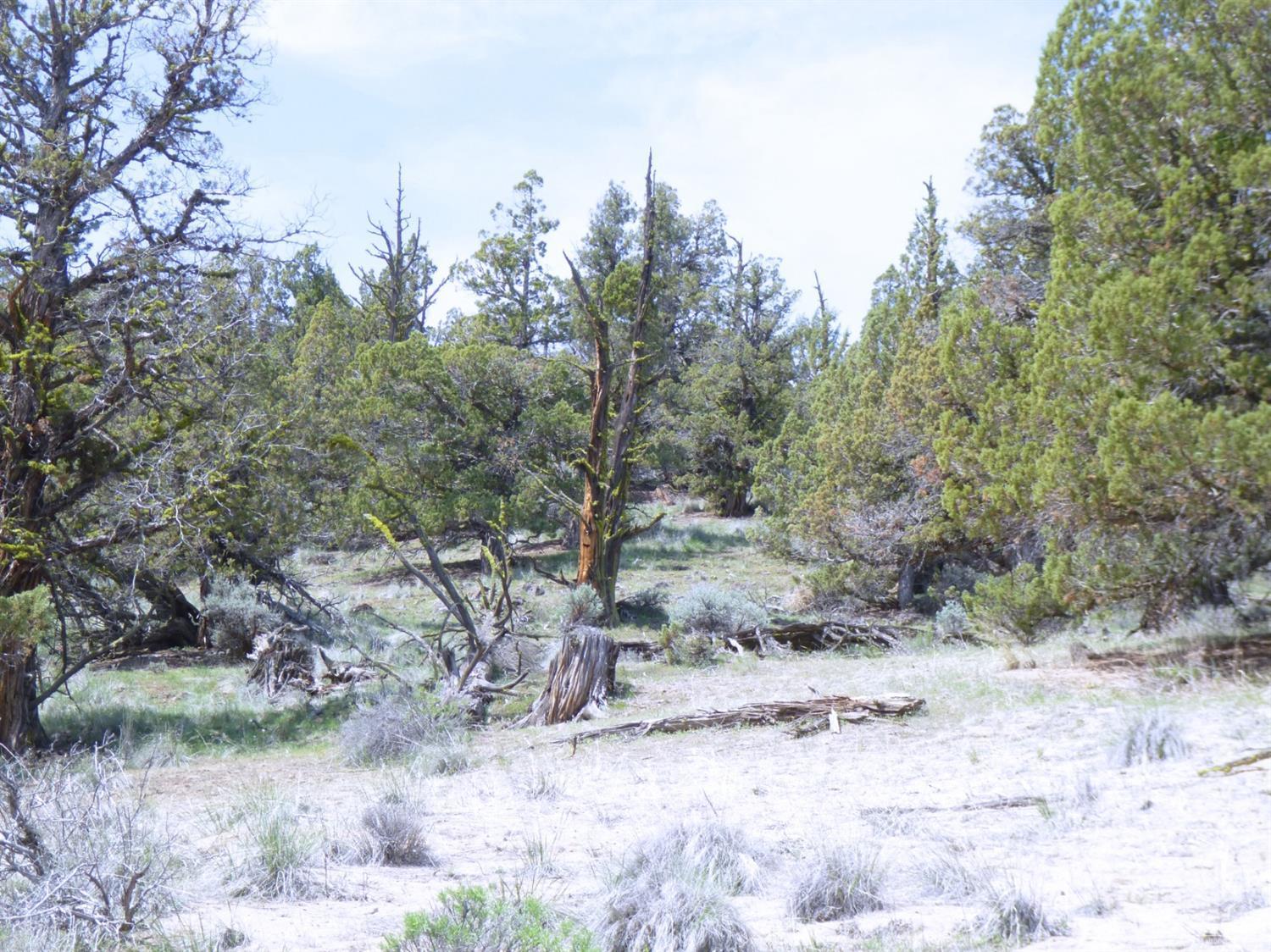 Indian Rock Estates - Land