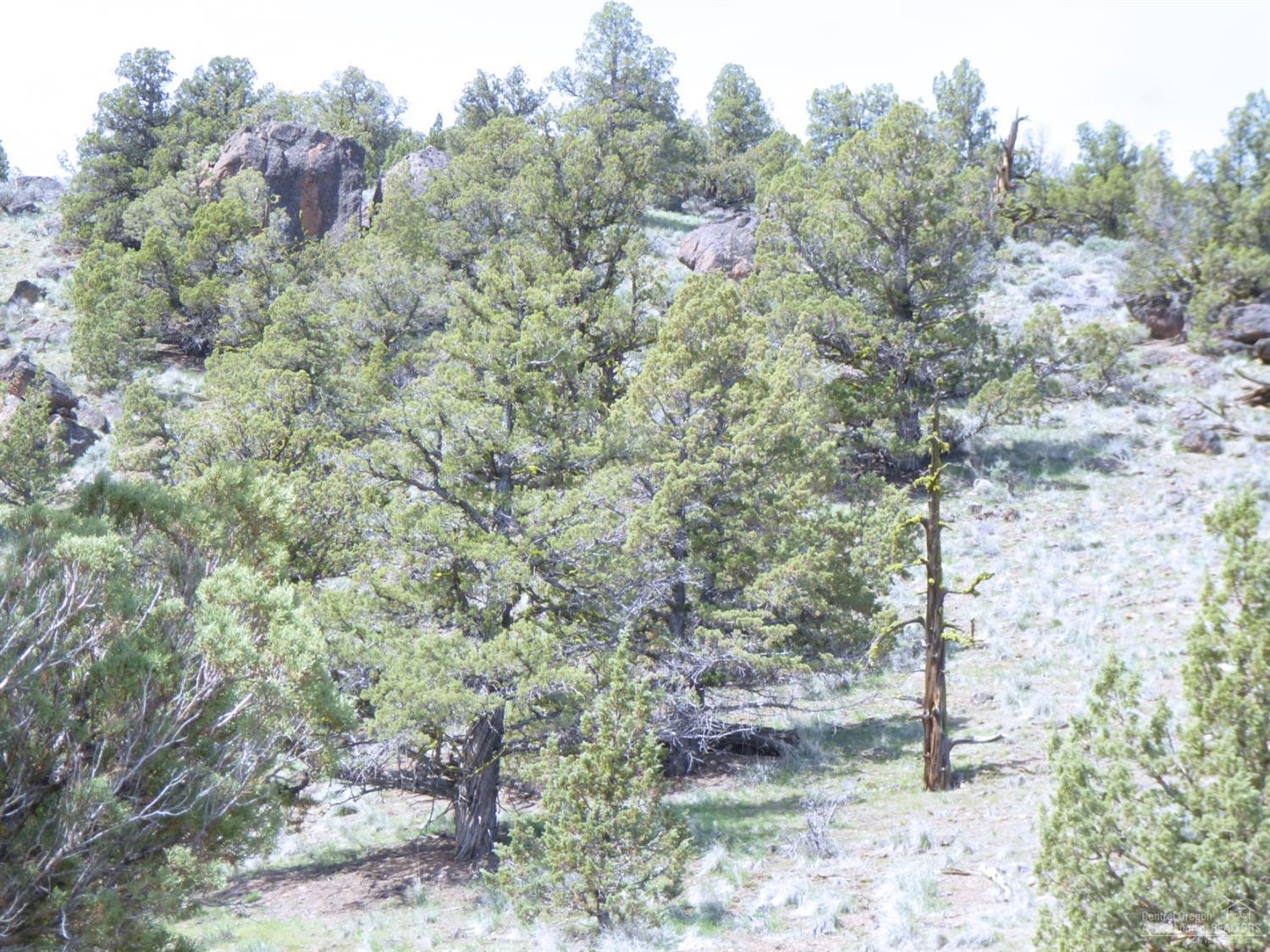 Indian Rock Estates - Land