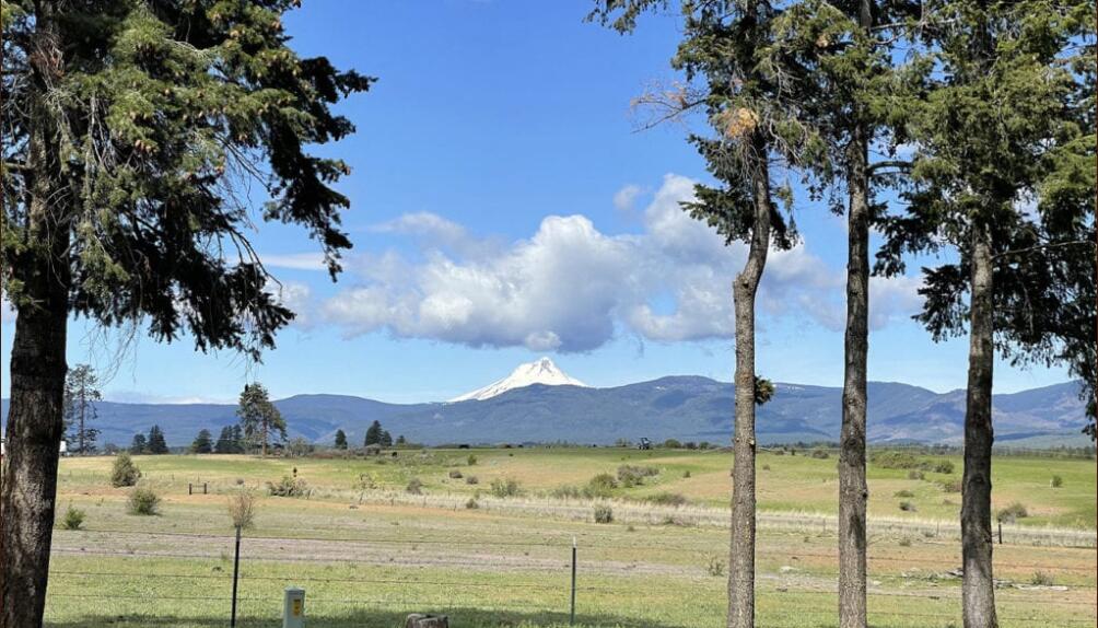 Pine Hollow Development - Farm