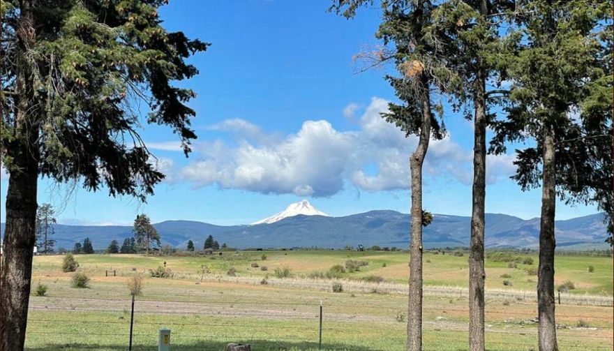 This outstanding farming, hunting and recreation property is just Southeast of Mt. Hood and West of the Deschutes River and right in the middle of one of the most beautiful areas in Oregon, Tygh Valley.  With views of three of the largest mountains in the Cascade Range including Mount Hood, Mount Jefferson and Mount Adams, Iron Horse Ranch offers a recreational opportunity in every way. Iron Horse Ranch has over 475 acres and 253 of which are irrigated from Badger Creek, Pine Hollow and Round Prairie.
The area consists of open range, cropland and oak prairie habitat.  There is a 2-acre pond that feeds the irrigation and provides waterfowl hunting, fishing for trout and bass, and draws in wildlife.  The size of the property allows two Land Owner Preference (LOP) tags for Elk and Deer and is located in the White River Basin, a tributary of the Deschutes River.